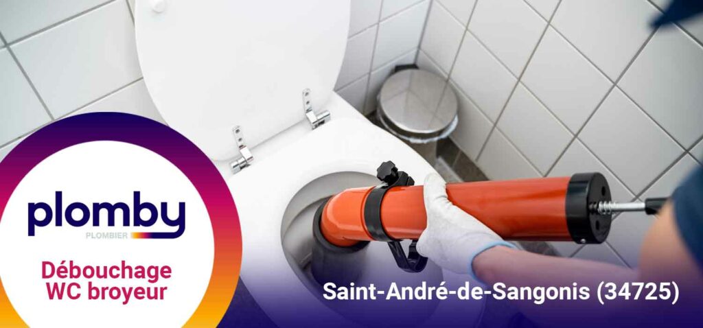 Débouchage WC broyeur Saint-André-de-Sangonis (34725)