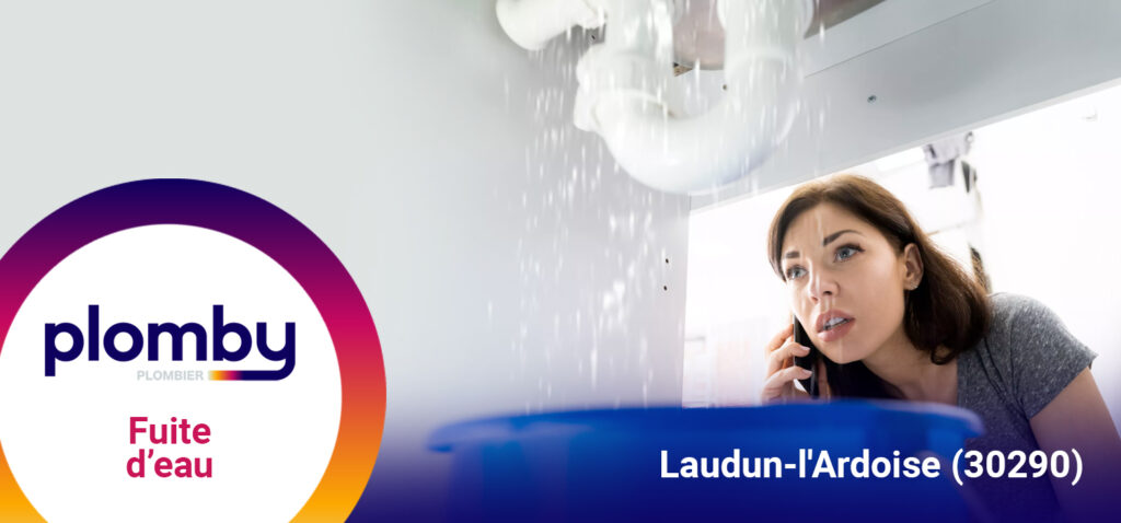 Réparation fuite d'eau Laudun-l'Ardoise (30290)