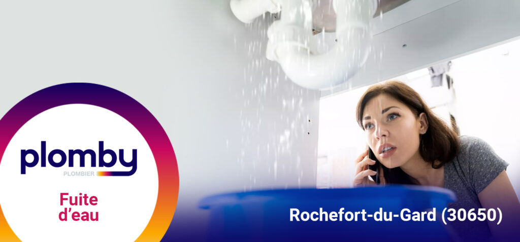 Réparation fuite d'eau Rochefort-du-Gard (30650)